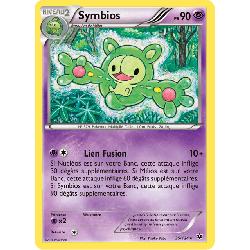 pokemon-tcg-35-125-symbios-rare-impact-des-destins-xy-fco