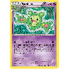 pokemon-tcg-35-125-symbios-rare-impact-des-destins-xy-fco