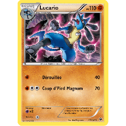 pokemon-tcg-47-125-lucario-rare-impact-des-destins-xy-fco