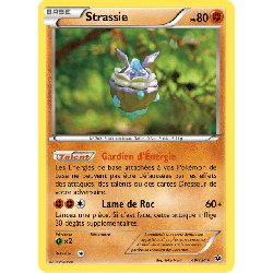 pokemon-tcg-49-125-strassie-rare-impact-des-destins-xy-fco