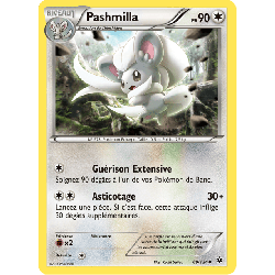 pokemon-tcg-89-125-pashmilla-uncommon-impact-des-destins-xy-fco
