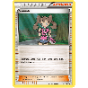 pokemon-tcg-111-125-sannah-uncommon-impact-des-destins-xy-fco