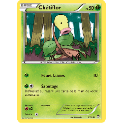 pokemon-tcg-1-113-chetiflor-common-poings-furieux-xy-ffi