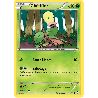 pokemon-tcg-1-113-chetiflor-common-poings-furieux-xy-ffi