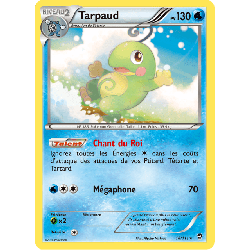 pokemon-tcg-18-113-tarpaud-rare-poings-furieux-xy-ffi