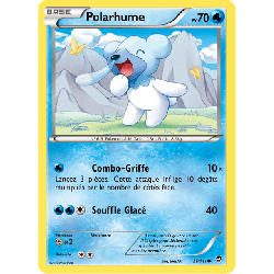 pokemon-tcg-21-113-polarhume-common-poings-furieux-xy-ffi
