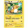 pokemon-tcg-28-113-raichu-uncommon-poings-furieux-xy-ffi