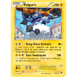 pokemon-tcg-33-113-fulguris-rare-poings-furieux-xy-ffi
