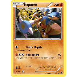 pokemon-tcg-49-113-kapoera-uncommon-poings-furieux-xy-ffi
