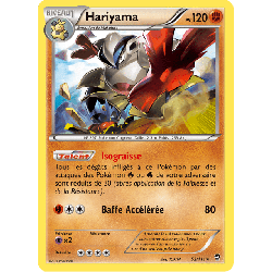 pokemon-tcg-52-113-hariyama-rare-poings-furieux-xy-ffi