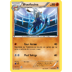 pokemon-tcg-57-113-shaofouine-uncommon-poings-furieux-xy-ffi