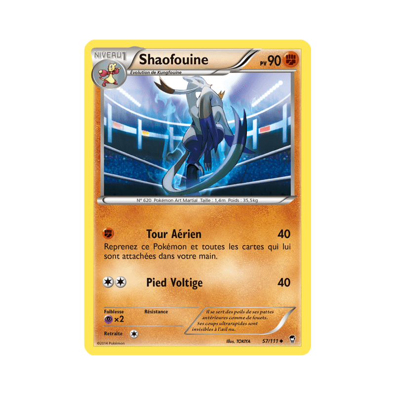 pokemon-tcg-57-113-shaofouine-uncommon-poings-furieux-xy-ffi