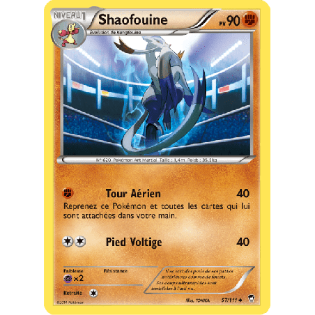 pokemon-tcg-57-113-shaofouine-uncommon-poings-furieux-xy-ffi