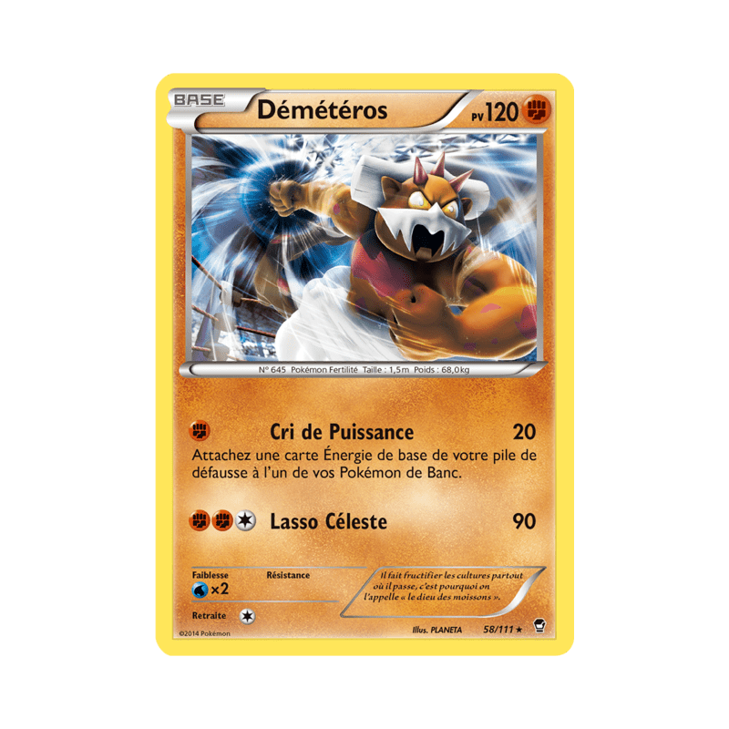 pokemon-tcg-58-113-demeteros-rare-poings-furieux-xy-ffi