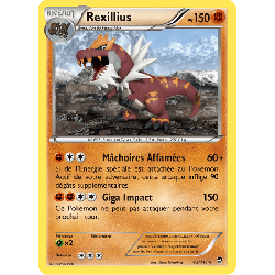 pokemon-tcg-62-113-rexillius-rare-poings-furieux-xy-ffi