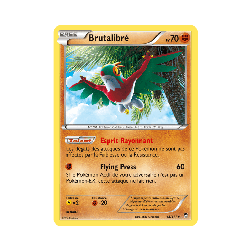 pokemon-tcg-63-113-brutalibre-holo-rare-poings-furieux-xy-ffi