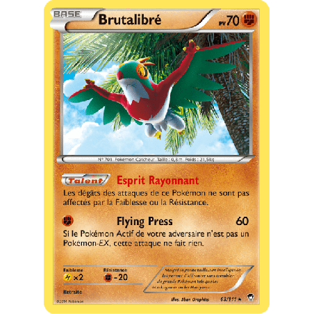 pokemon-tcg-63-113-brutalibre-holo-rare-poings-furieux-xy-ffi