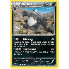 pokemon-tcg-68-113-pandarbare-rare-poings-furieux-xy-ffi