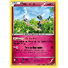 pokemon-tcg-73-113-trousselin-uncommon-poings-furieux-xy-ffi