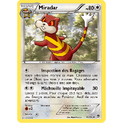 pokemon-tcg-85-113-miradar-uncommon-poings-furieux-xy-ffi