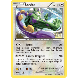 pokemon-tcg-86-113-boreas-rare-poings-furieux-xy-ffi