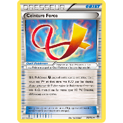 pokemon-tcg-91-113-ceinture-force-uncommon-poings-furieux-xy-ffi