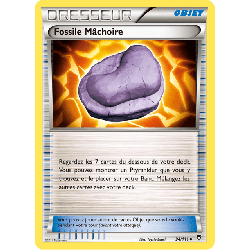 pokemon-tcg-94-113-fossile-machoire-uncommon-poings-furieux-xy-ffi