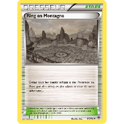pokemon-tcg-97-113-ring-en-montagne-uncommon-poings-furieux-xy-ffi