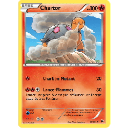 pokemon-tcg-16-109-chartor-uncommon-etincelles-xy-flf