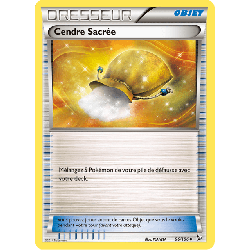 pokemon-tcg-96-109-cendre-sacree-uncommon-etincelles-xy-flf
