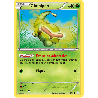 pokemon-tcg-3-115-chenipan-common-generations-xy-gen