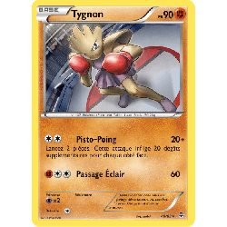 pokemon-tcg-48-115-tygnon-rare-generations-xy-gen