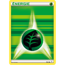 pokemon-tcg-75-115-energie-plante-common-generations-xy-gen