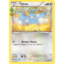 pokemon-tcg-rc023-115-tylton-common-generations-xy-gen