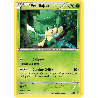 pokemon-tcg-2-39-feuillajou-bienvenue-a-kalos-xy-kss