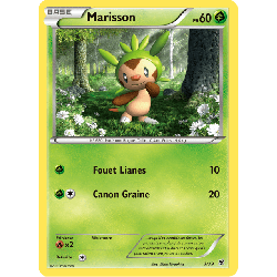 pokemon-tcg-3-39-marisson-bienvenue-a-kalos-xy-kss