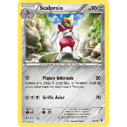 pokemon-tcg-20-39-scalproie-bienvenue-a-kalos-xy-kss