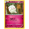 pokemon-tcg-24-39-sucroquin-bienvenue-a-kalos-xy-kss