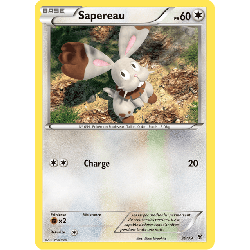 pokemon-tcg-30-39-sapereau-bienvenue-a-kalos-xy-kss