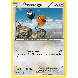 pokemon-tcg-31-39-passerouge-bienvenue-a-kalos-xy-kss