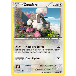 pokemon-tcg-33-39-couafarel-bienvenue-a-kalos-xy-kss