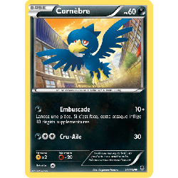 pokemon-tcg-51-122-cornebre-common-vigueur-spectrale-xy-phf