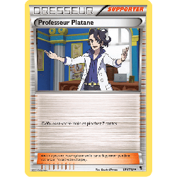 pokemon-tcg-101-122-professeur-platane-uncommon-vigueur-spectrale-xy-phf