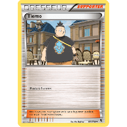 pokemon-tcg-107-122-tierno-uncommon-vigueur-spectrale-xy-phf