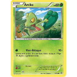 pokemon-tcg-6-164-arcko-common-primo-choc-xy-prc
