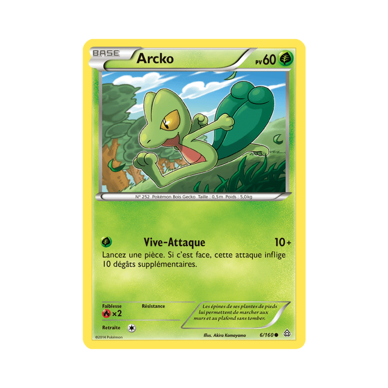pokemon-tcg-6-164-arcko-common-primo-choc-xy-prc