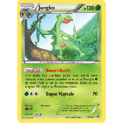 pokemon-tcg-8-164-jungko-rare-primo-choc-xy-prc