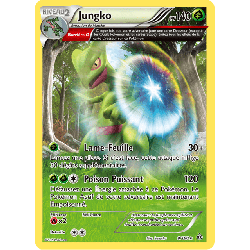 pokemon-tcg-9-164-jungko-holo-rare-primo-choc-xy-prc