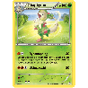 pokemon-tcg-16-164-chapignon-rare-primo-choc-xy-prc