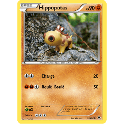 pokemon-tcg-87-164-hippopotas-common-primo-choc-xy-prc